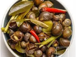 Hình ảnh Ốc to