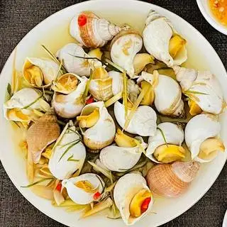 Hình ảnh Ốc bulot hấp sả