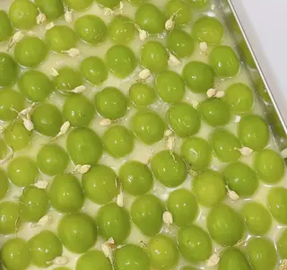 Hình ảnh Tiramisu nho mẫu đơn