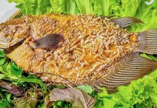 Hình ảnh Cá tai tượng chiên xù lớn