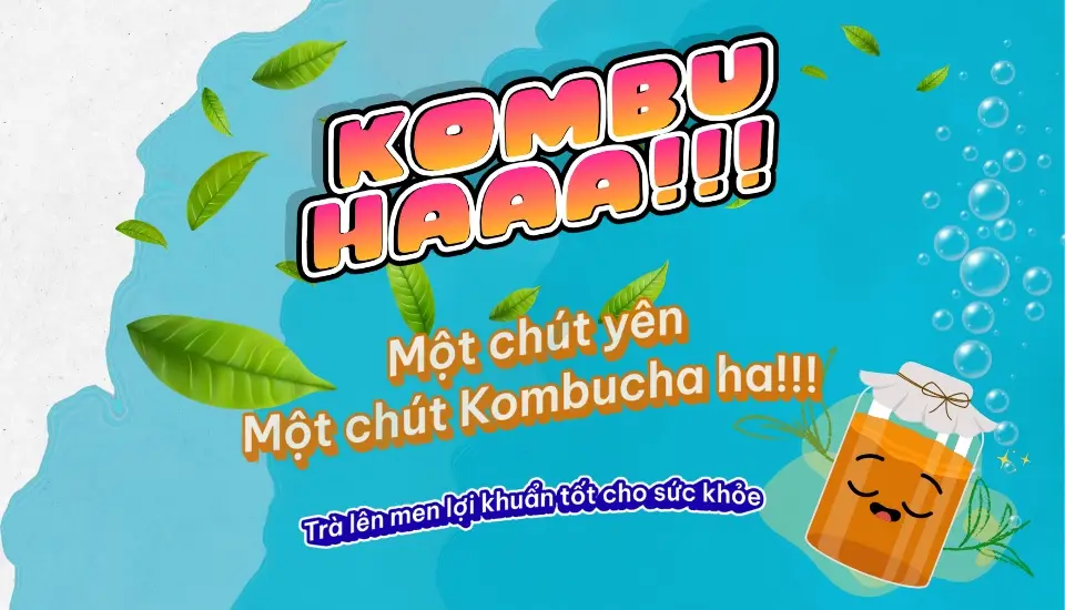 Hình ảnh KOMBUHA - Trà Kombucha Trái Cây - Nguyễn Thái Bình