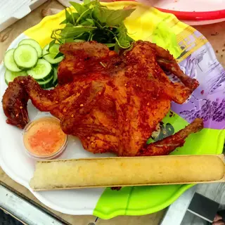 Hình ảnh Gà - xôi