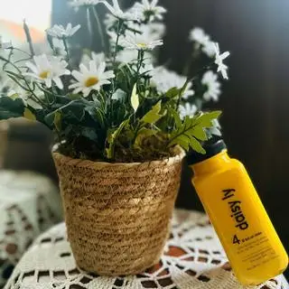 Hình ảnh Bí sen an nhiên