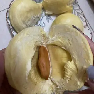 Hình ảnh Sầu riêng Thái ký