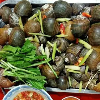 Hình ảnh Ốc lác hấp sả