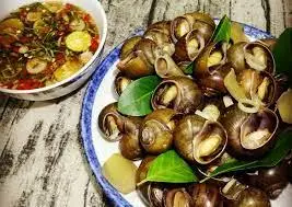 Hình ảnh Ốc lẫn