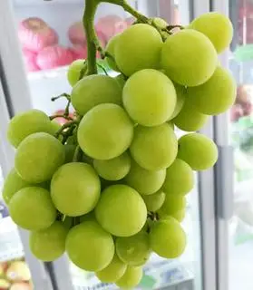Hình ảnh Nho xanh giòn ngọt