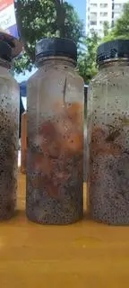 Hình ảnh Mủ gòn hạt é