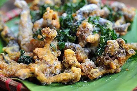 Hình ảnh ẾCH XÀO LÁ NỐT