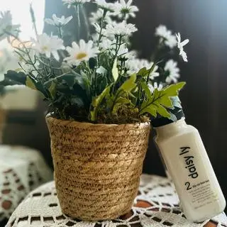 Hình ảnh Đậu mè thơm béo