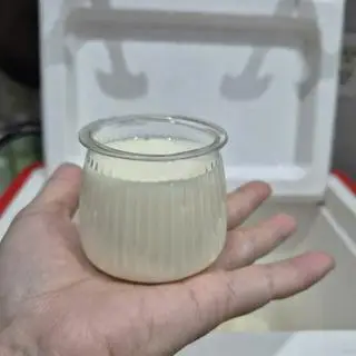 Hình ảnh Sữa chua