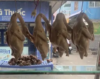 Hình ảnh Vịt nguyên con