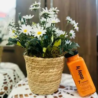 Hình ảnh Gấc dưỡng nhan