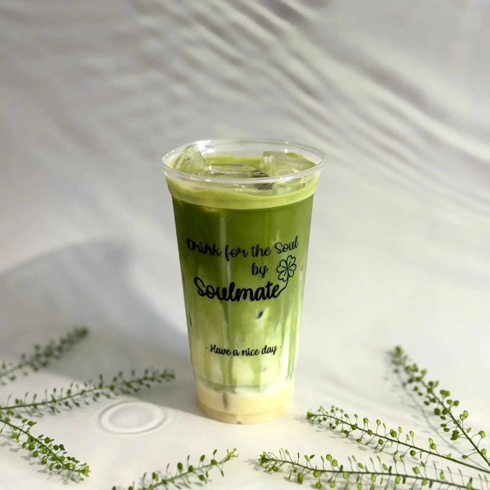 Hình ảnh Matcha Sữa Tươi L
