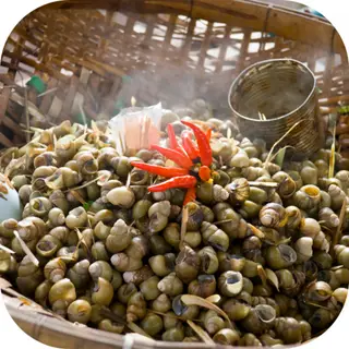Hình ảnh Ốc gạo luộc