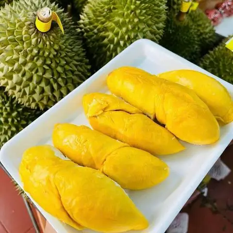 Hình ảnh Sầu Riêng Tươi Chín Cây - Cộng Hoà
