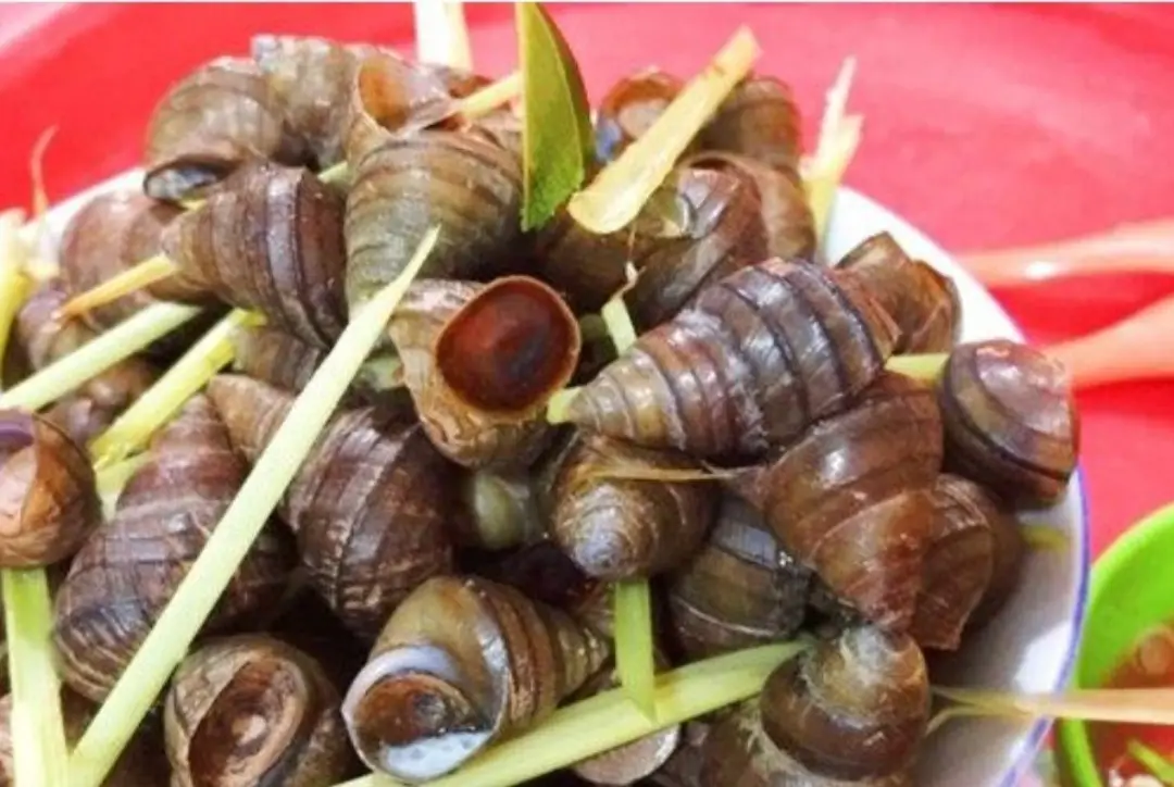 Hình ảnh Ốc luộc nhỏ