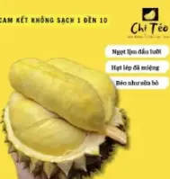 Hình ảnh Cơm sầu Thái chín cây chị Téo sạch 999% - 500gr
