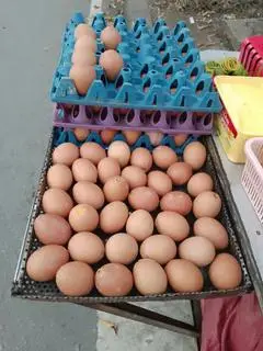 Hình ảnh Hột gà nướng