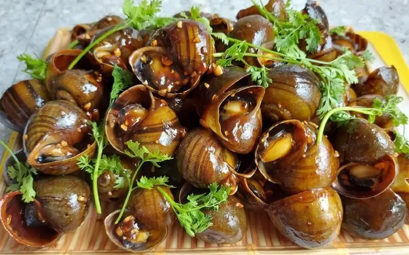 Hình ảnh Ốc to xào me