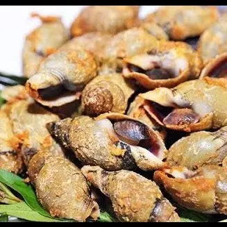 Hình ảnh Ốc & Lẩu - SuSu - Huỳnh Tấn Phát