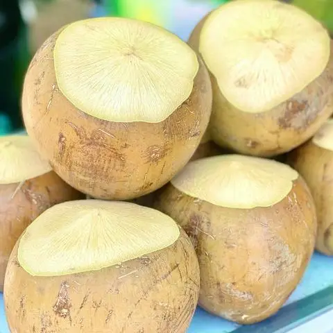Hình ảnh DỪA TƯƠI - NƯỚC CAM - Cộng Hòa