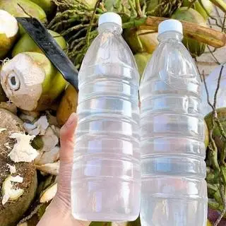 Hình ảnh Nước dừa - chai to