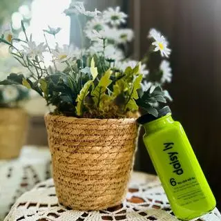 Hình ảnh Rau xanh mát dịu