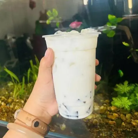 Hình ảnh Sữa Dừa Nguyên Vị - Nguyễn Duy Trinh
