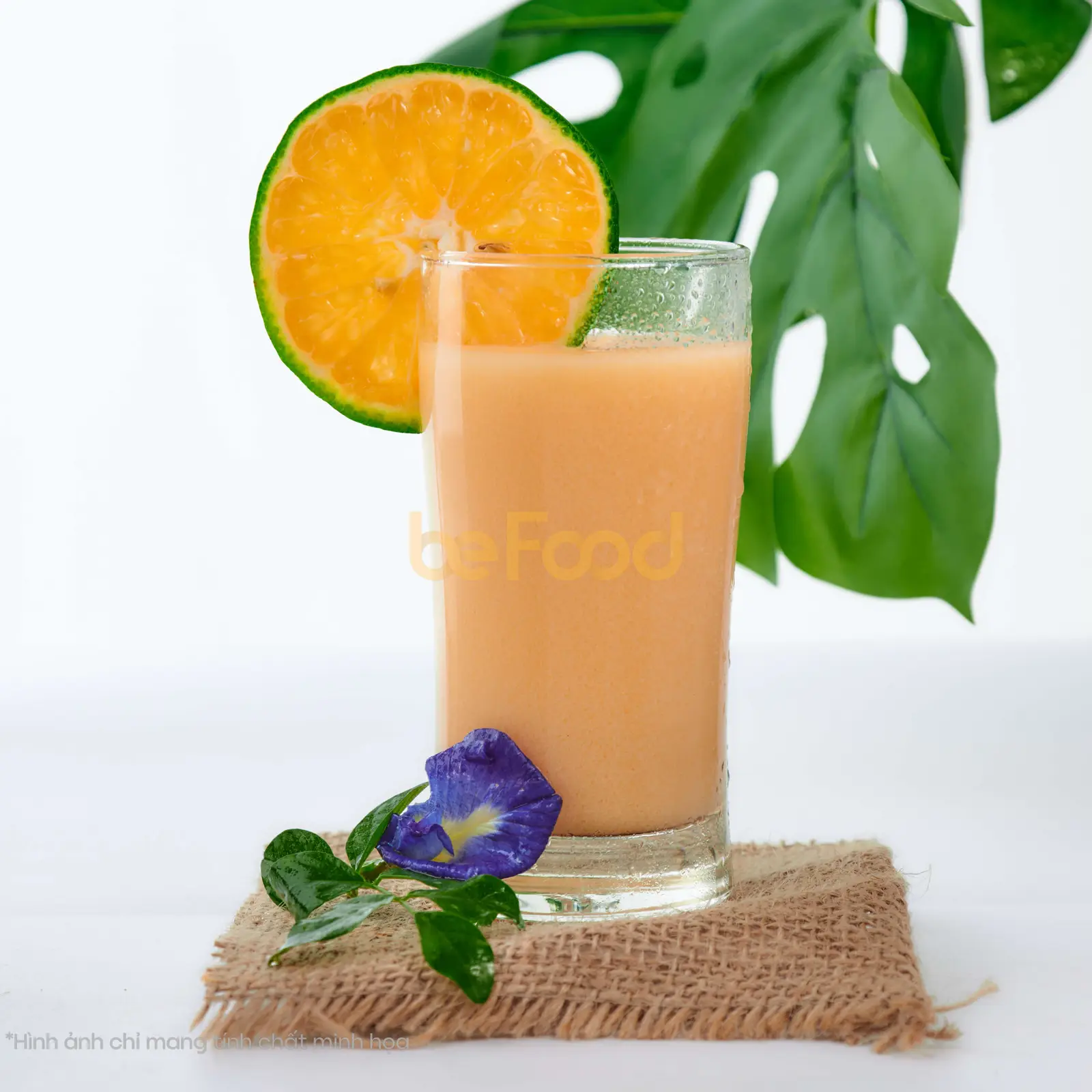 Hình ảnh Nước cam sữa