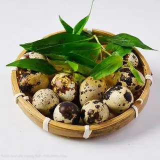 Hình ảnh Cút lộn - luộc