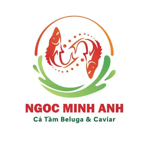 Hình ảnh Cá Tầm Ngọc Minh Anh - Đường 30