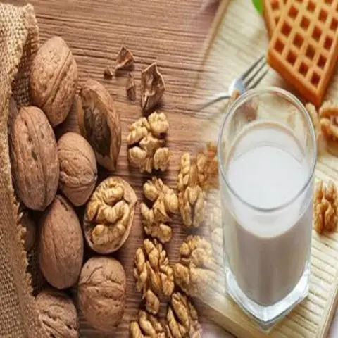 Hình ảnh Sữa Hạt Nhà Tâm Bách Khoa - Bách Khoa
