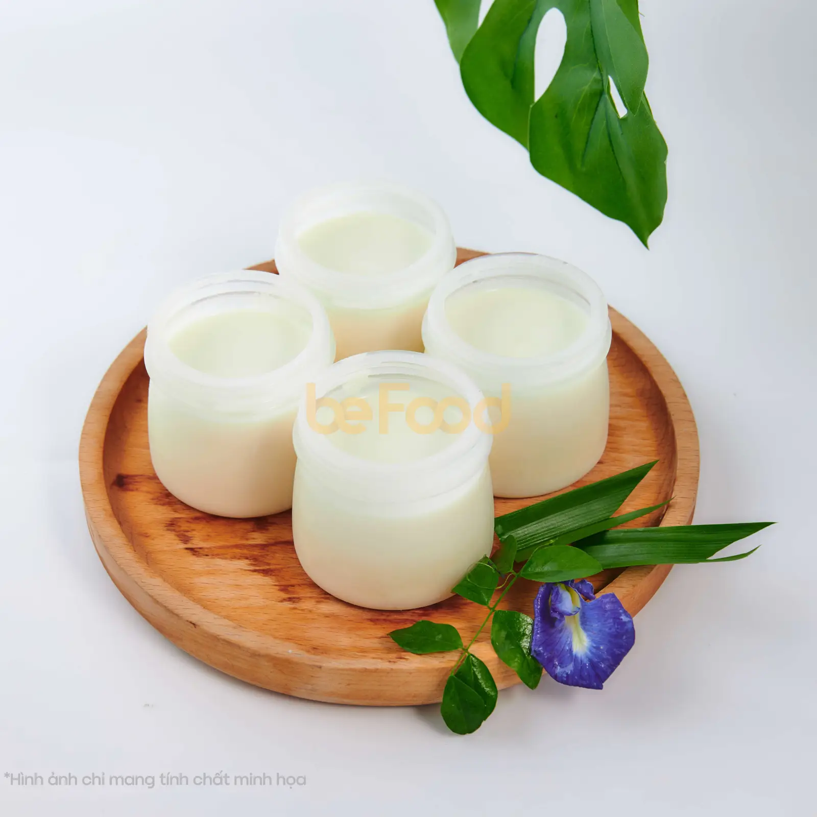 Hình ảnh Yogurt phomai