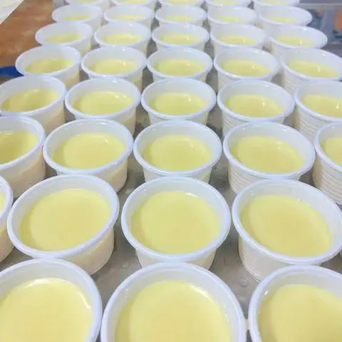 Hình ảnh Yaourt Phô Mai Đà Lạt - Trường Giang Food - Lê Tấn Bê