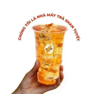Hình ảnh Hoàng trà cổ thụ nguyên vị