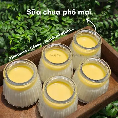 Hình ảnh Sữa Chua Mẹ Nấm - Vườn Lài