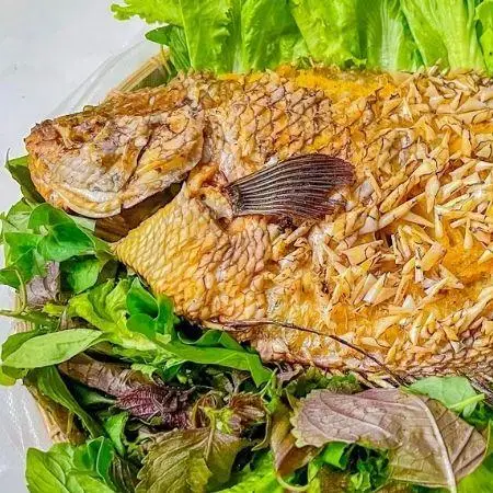 Hình ảnh CÁ TAI TƯỢNG Nấu Tiệc Minh Hân - Tân Quý