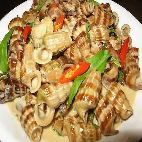 Hình ảnh Ốc Nam Quyên - An Dương Vương