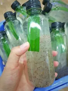 Hình ảnh Nha Đam 