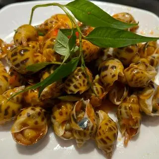 Hình ảnh Ốc hương