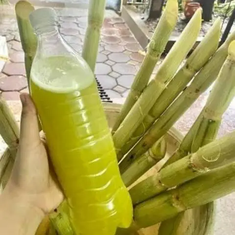 Hình ảnh Nước Mía Bảo Thy Siêu Ngon - Lê Văn Khương