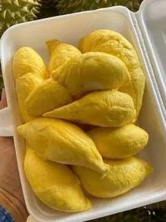 Hình ảnh Sầu riêng ri6 500gr