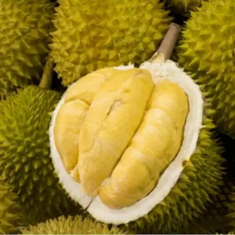 Hình ảnh Sầu Riêng Daklak - Quang Trung
