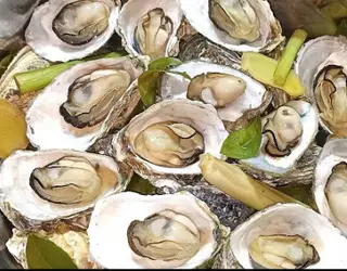 Hình ảnh Hàu sữa hấp 9 lạng