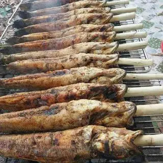 Hình ảnh Cá lóc nướng