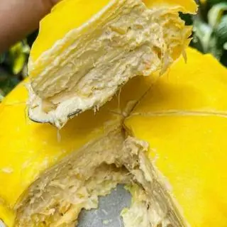 Hình ảnh Combo 2 lớn