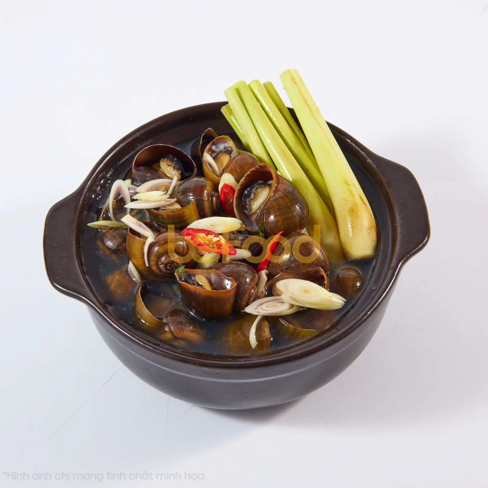 Hình ảnh Ốc bươu