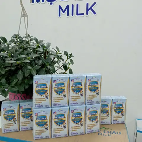 Hình ảnh Combo Sữa dinh dưỡng bổ sung sữa non MC colos 110ml - lốc + Sữa tươi thanh trùng MCM 900ml - hộp