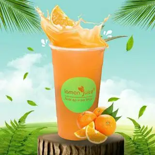 Hình ảnh Nước ép cam sành J03